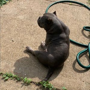 Meet your Posher, James